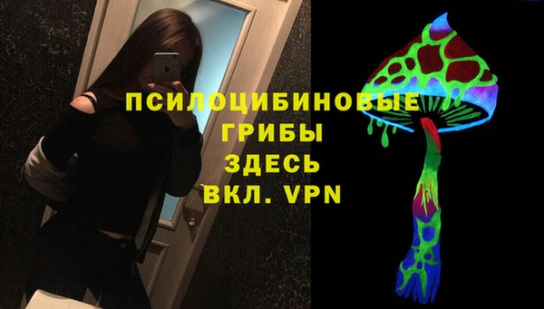 хмурый Бердск