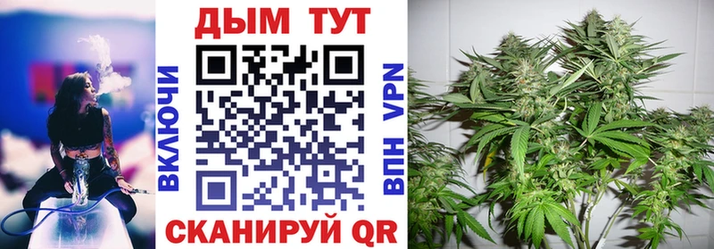 Каннабис SATIVA & INDICA  где можно купить   Калач 